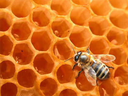 miel-de-abeja-3