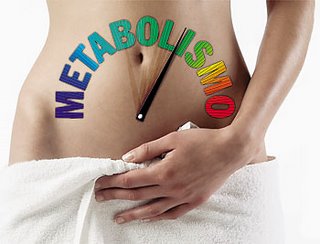 metabolismo2